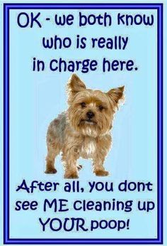 Jarutama Slider Image 01