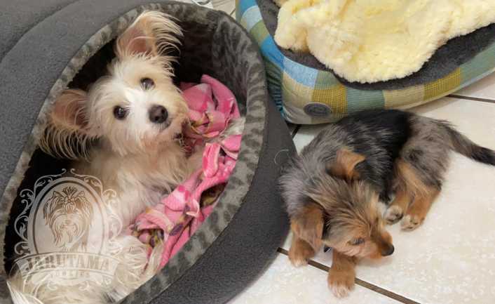 Jarutama Slider Image 03